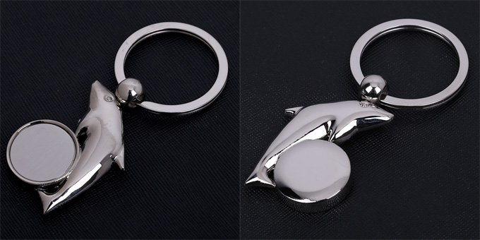 dolphin keychain